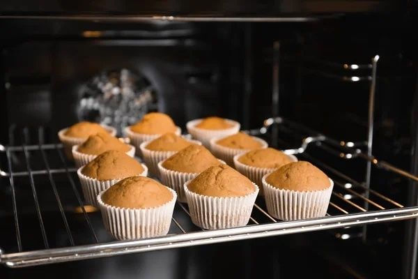 Muffins gräddas i pappersformar på en ugnsgallerhylla